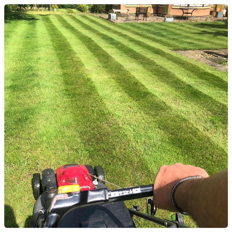 Newly mowed lawn by premium landscaping