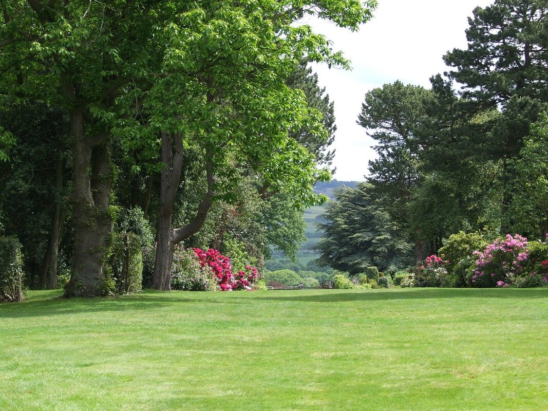 picture-of-landscaped-area