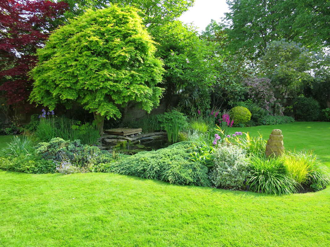 picture-of-soft-landscape-area